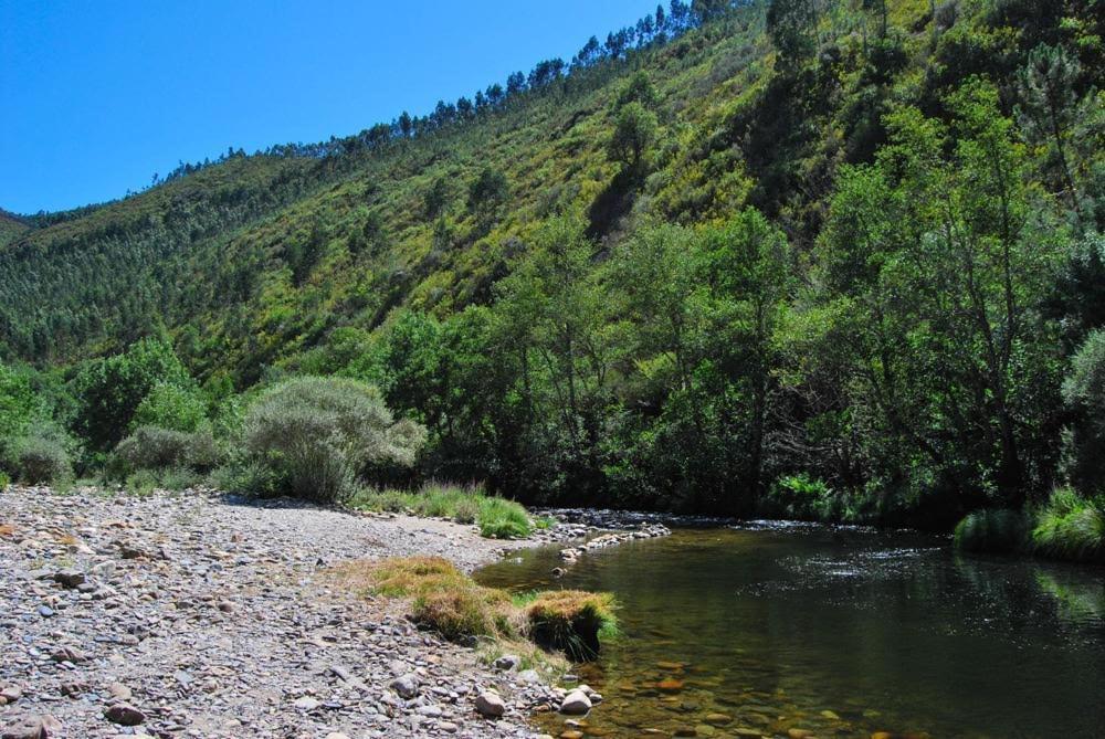 O Pardieiro - Casas Da Paradinha ภายนอก รูปภาพ